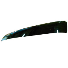 Солнцезащитный козырек MAN TGS/TGX/TGA XLX-XXL/TGS >2000 221*28см 81637010057